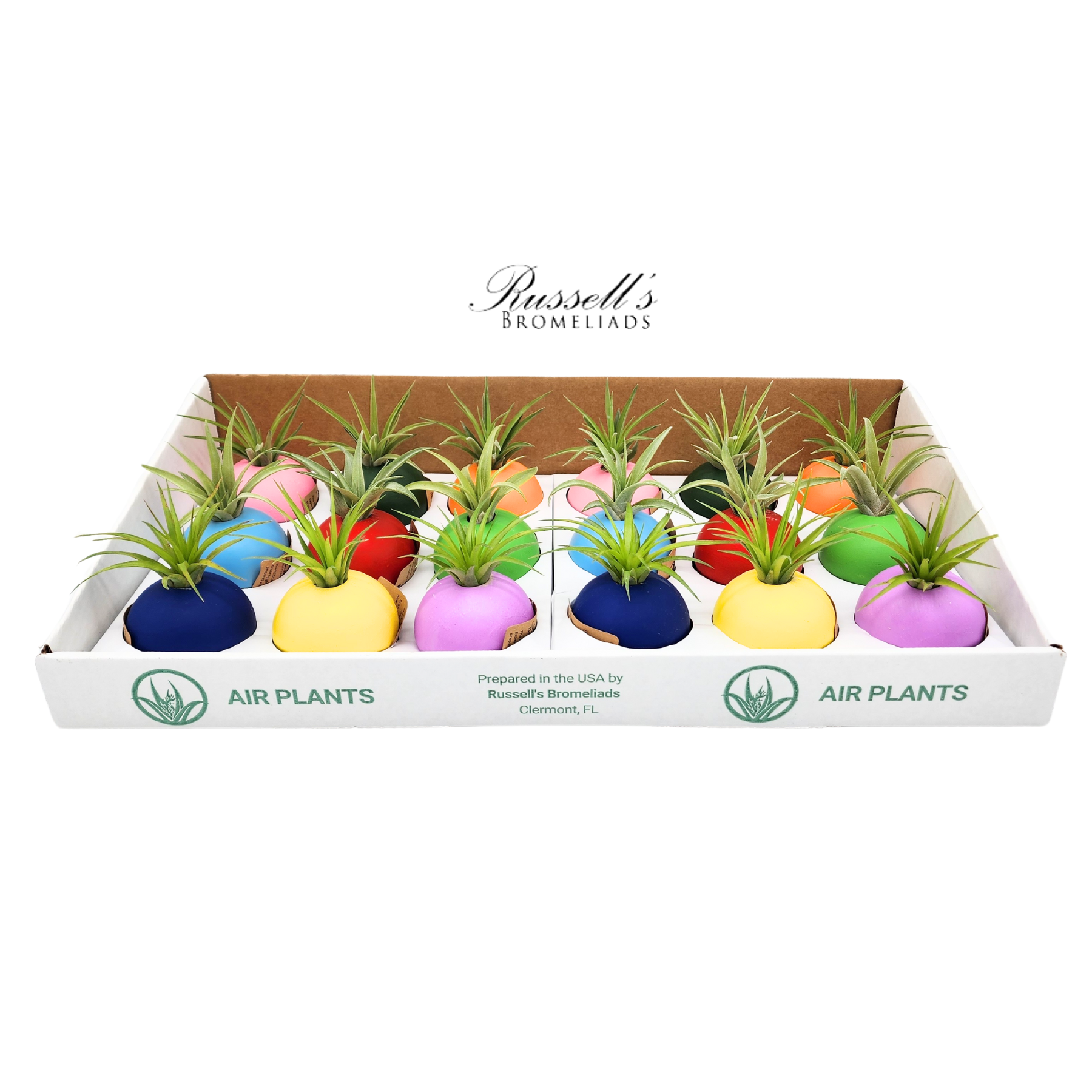 3" BUBBLE SET