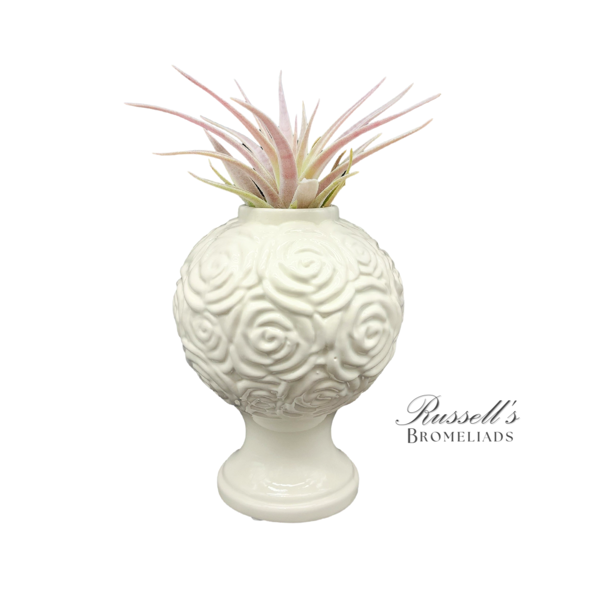 7" BLOOMING CHALICE