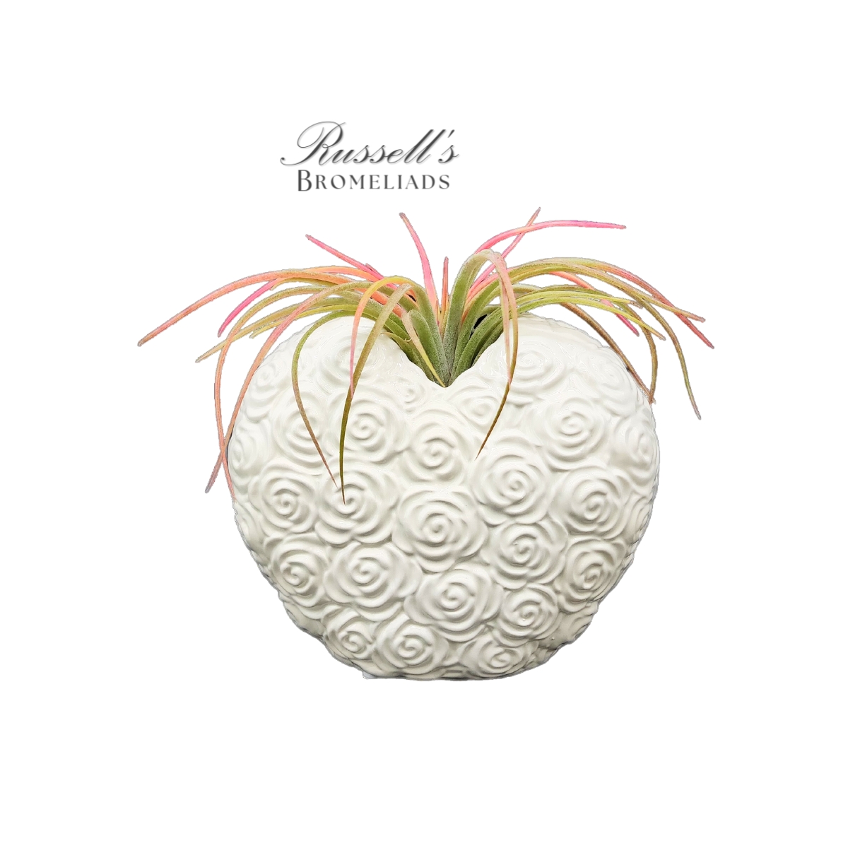 7" BLOOMING HEART