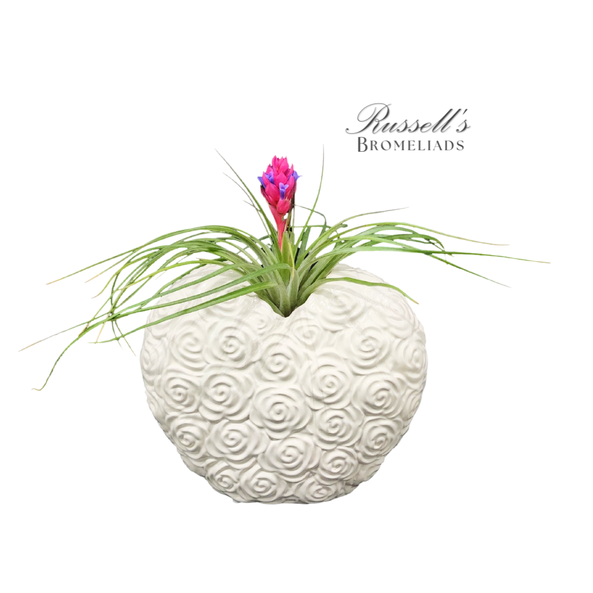 7" BLOOMING HEART