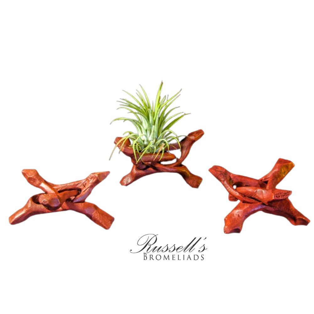 4" BONFIRE STAND
